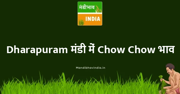 Chow Chow भाव